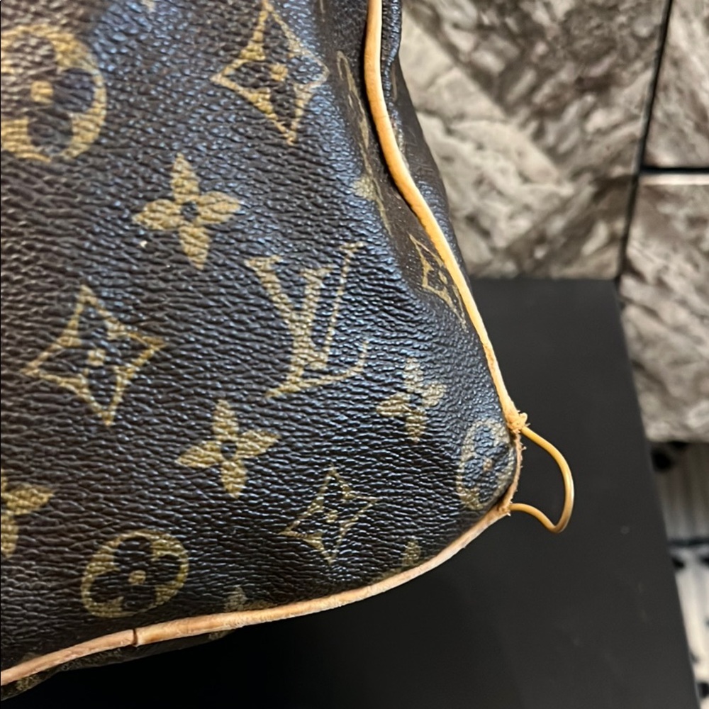 Louis Vuitton Brown Monogram Speedy Bag - Picture 8 of 10